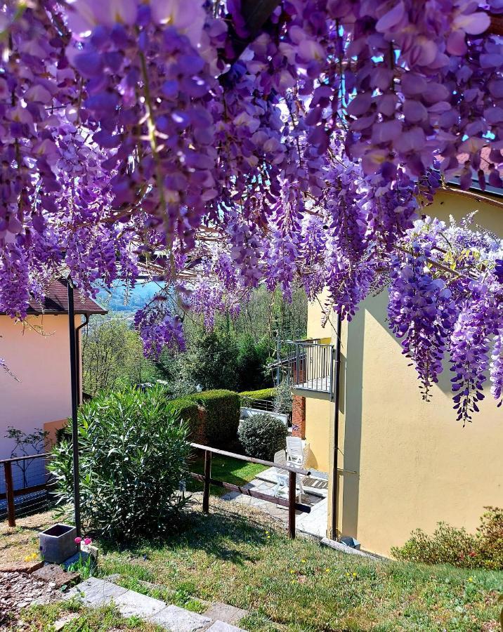 Casa Vacanza Il Glicine Casale Corte Cerro Экстерьер фото